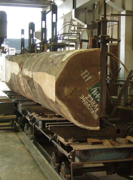 大型の丸太を高精度で挽く製材設備