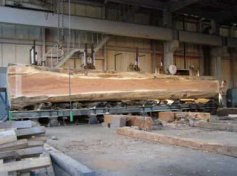 レッドオーク長尺材の製材