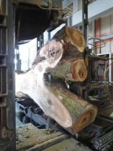 杉の丸太製材の事例