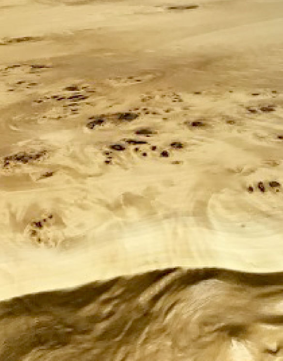 一枚板のある風景2