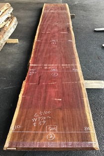 パープルハート