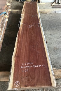 パープルハート