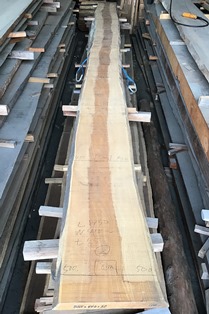 コーヒービーン