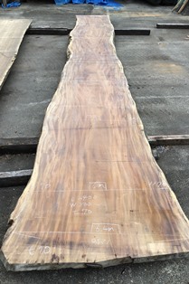 モンキーポッド