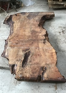 クラロウォルナット