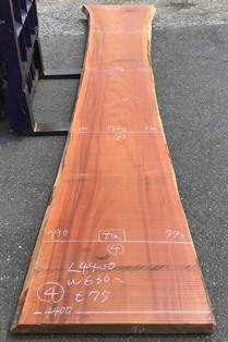 シンガポールマホガニー