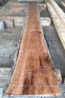 ブラックチェリー