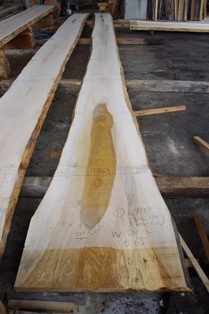 ホワイトアッシュ