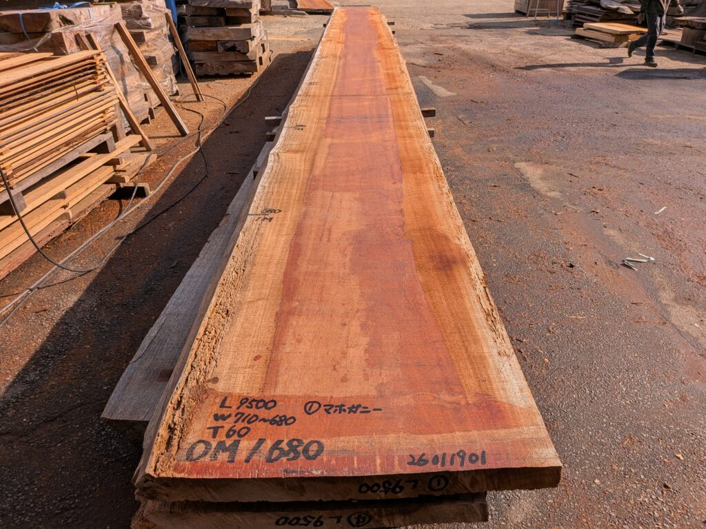 アフリカンマホガニー